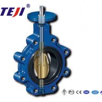 Resilient Seated Concentric Butterfly Valve