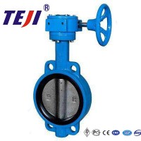 Wafer Type Concentric Butterfly Valve