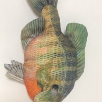 Realistic fish soft toys