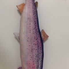 Realistic fish stuffed toys图1