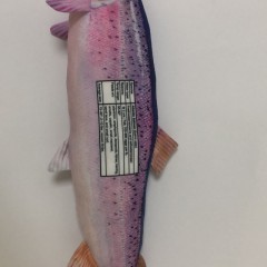 Realistic fish stuffed toys图3