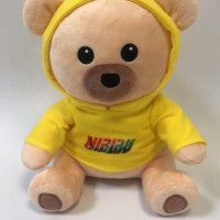 Stuffed teddy bear with hoodie