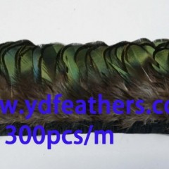 pheasant feather fringe图1