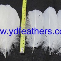 White Goose Nagoires Feather