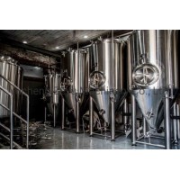 Fermentation & Storage /Fermenter Tank