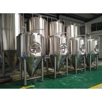 Cassman 300L 500L Stainless Steel Beer Brewery Equipment for Sale