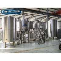 Cassman Micro 1000L Hotel Beer Brewery Equipment with Turnkey Project