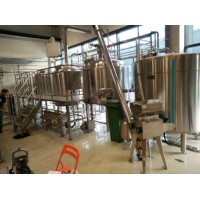 Turnkey Project Beer Brewing Equipment 1000L Micro Brewery for Sale