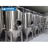 Cassman 10bbl Unitank/1000L Beer Fermenter/1170L Fermentation Tank for Sale