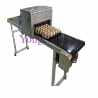 High Quality Egg Inkjet Printer with 6 Nozzles and Conveyor