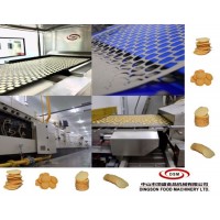 Dsm-Compound Potato Chip Production Line