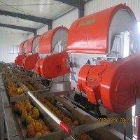 Stainless Steel Citrus Orange Machine Price Juice Extractor