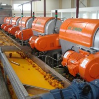 Automatic Fruit Juice / Orange Juice/ Orange Oil Production Line / Plant