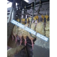 Good Duck Wax Machine-Duck Slaughtering Equipment