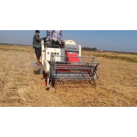 4lz-1.6z Rice Wheat Small Tank Combine Harvester