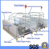 Galvanized Poultry Farm PVC Sow Pig Hog Piglet Farrowing Crates