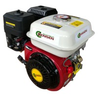 7HP Small Petrol Motor with Ce Certificate