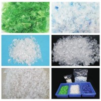 Dong Guan Manufacturer for Recycled Pet Flakes