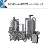 2020 Beer Fermentation Tank