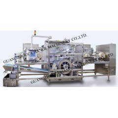 Laundry Solube Bead Packing Machine图1