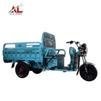 New Arrival Electric Trike Tricycle 500W 3 Wheel Electric Cargo Tricycle 20 Inch