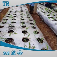 Silver and Black Mulch Film Agriculture Film Agriculture Vegetables Crops Compostable Mulch Film图1