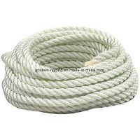 Nylon Braided Rope with Multiple Strand of Chinese Manufacturer