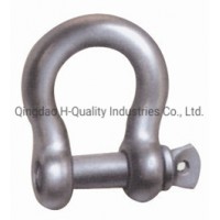 Drop Forged Screw Pin Anchor Shackle with or Without Collar