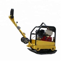 High Quality Hydraulic Reversible Diesel Gasoline Plate Compactor Factory