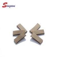 Diamond Segments for Sandstone Cutting