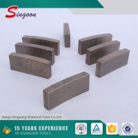 China Cutting Tool 700mm Diamond Segment