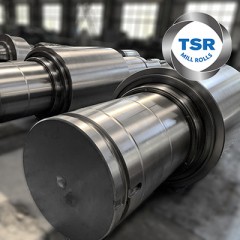 Hot Strip Continuous Mill and Plate Mill Work Roll (HiCr cast steel roll  ICDP cast iron roll  HSS r图1