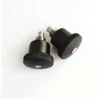 M10*1*6 Plunger Piston with Lock