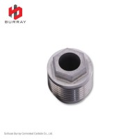 Zigong PDC Drill Bit Nozzle External Hexagon Alloy Nozzle and Spray Nozzle