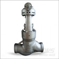 Psb Globe Valve  Bw  Wcb  6 Inch