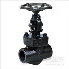 API 598 Globe Valve  2 Inch  800lb  NPT图1