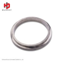 Hot Sale Polished Carbide Seal Ring for Pump