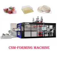 Csm-650 PP/PS/Pet Ln Mold Cutting Vacuum Forming Machine.