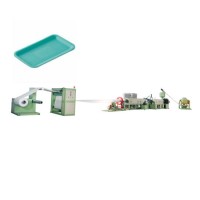 High Tech PS Foam Apple Tray Forming Machine