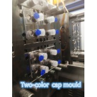 Plastic Injection Flip Top Bottle Cap Mould