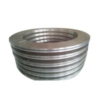 Special-Shaped Steel Ring Forgings for Tire Mould/Wheel