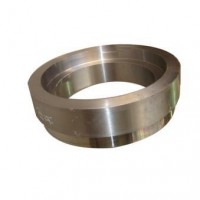 Special-Shaped Steel Ring Rolling Forgings for Tire Mould/Wheel