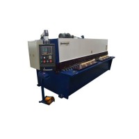 4X2500mm Hydraulic Sheet Metal Cutting Machine with E21s Control for South Africa Market