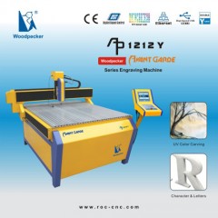 Woodpecker Ap-1212y CNC Cutting Machine/ CNC Router/CNC Engraving Machine 1200*1200mm图1