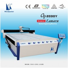 Woodpecker Cp-2030y CNC Cutting Machine/ CNC Router/CNC Engraving Machine 2000*3000mm图1