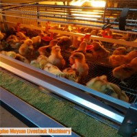 Poultry Farm/ Farming Equipment 4 Tiers Battery Layer Rearing Coop for Baby Chicken Pullet House
