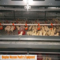 Poultry Farm/ Farming Chicken Layer Rearing Cage for Pullet Chicks Baby Chicken House