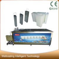 30 Ton Per Day Ice Block Making Machine