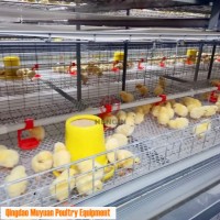 Trough Feeding 4 Tiers Broiler Meat Cage of Poultry Equipment