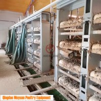 Automatic Trough Feeding Broiler Cage of Meat Chicken Raising System